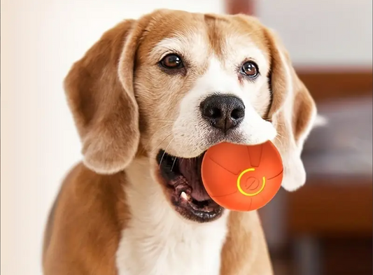 PawVibe BounceBuddy™