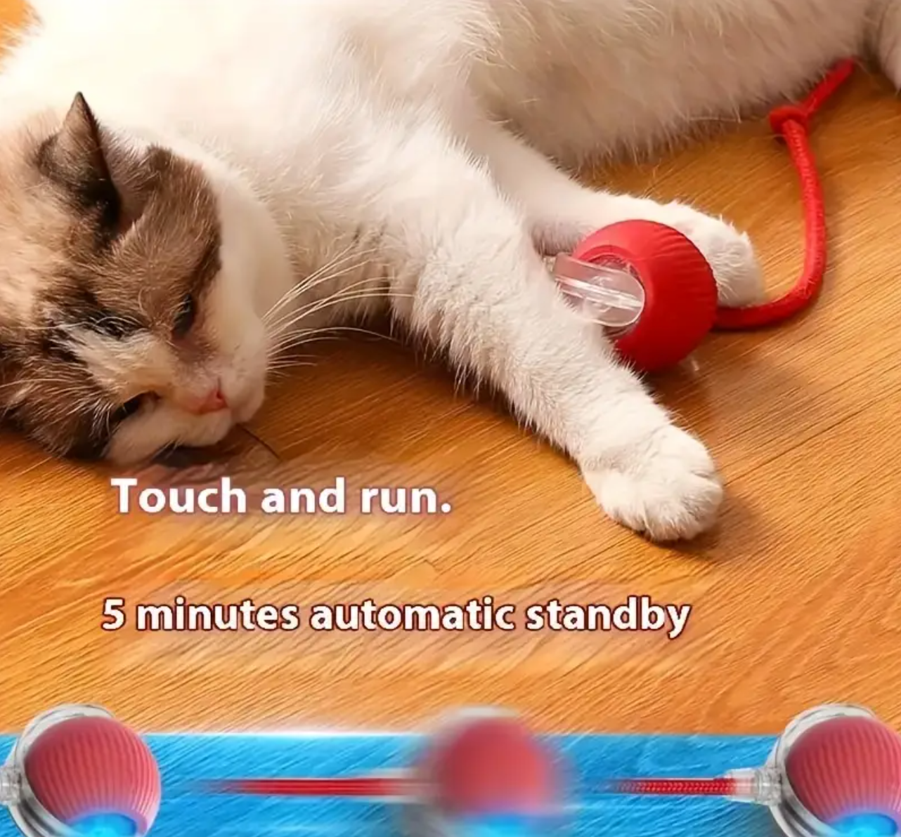 PawVibe WhirlBall™